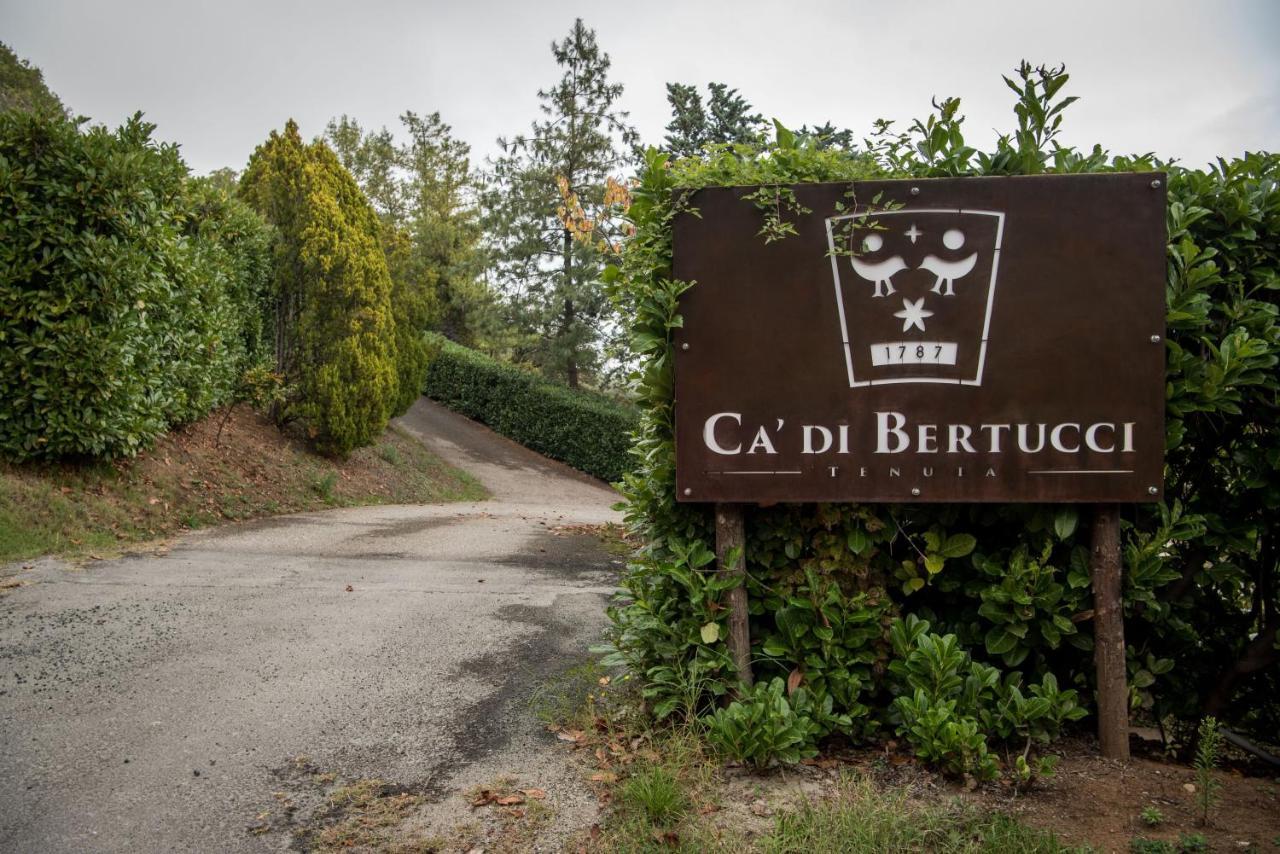 Tenuta Ca Di Bertucci Solignano Exteriör bild