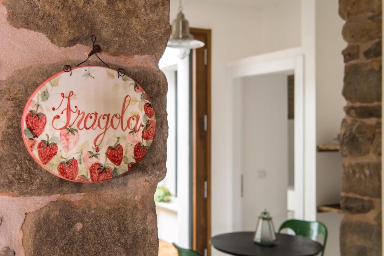 Tenuta Ca Di Bertucci Solignano Exteriör bild