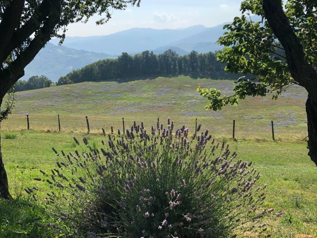 Tenuta Ca Di Bertucci Solignano Exteriör bild