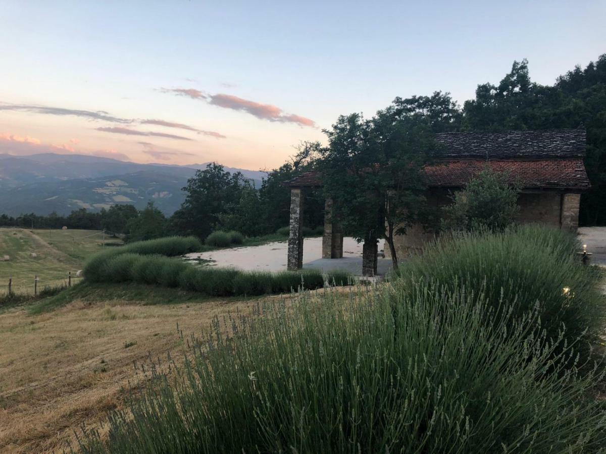 Tenuta Ca Di Bertucci Solignano Exteriör bild